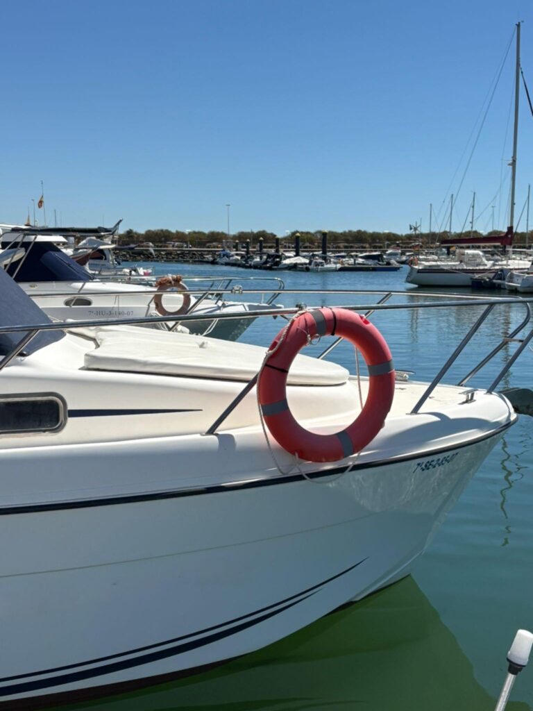 Imagem do WhatsApp 2025-09-23 no 16.05.16 (1)