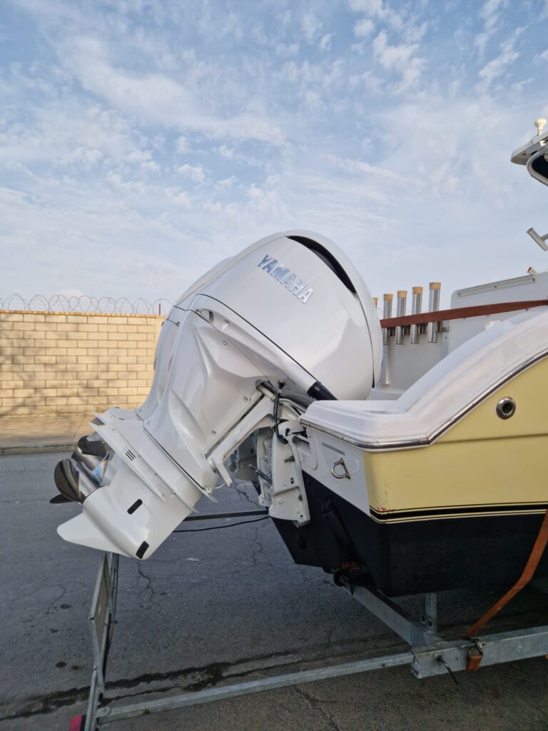 WhatsApp -Bild 2025-11-18 bei 11.43.19 (1)