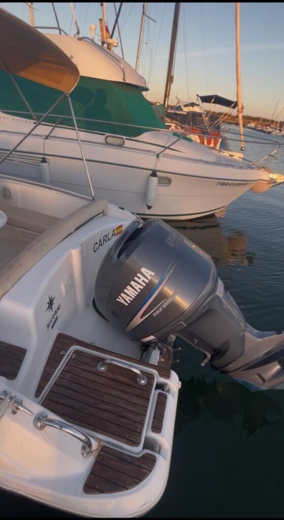 WhatsApp -Bild 2025-11-18 bei 16.23.50 (2)