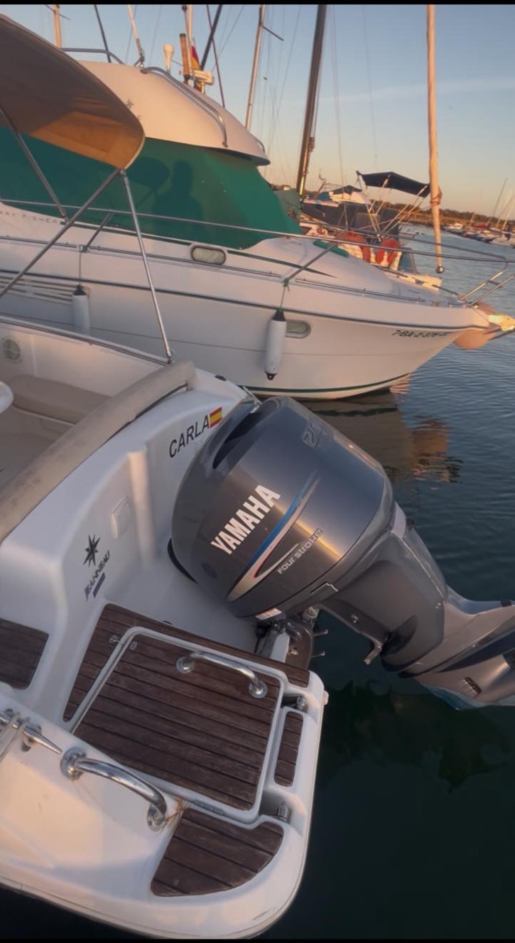 WhatsApp -Bild 2025-11-18 bei 16.23.50 (2)