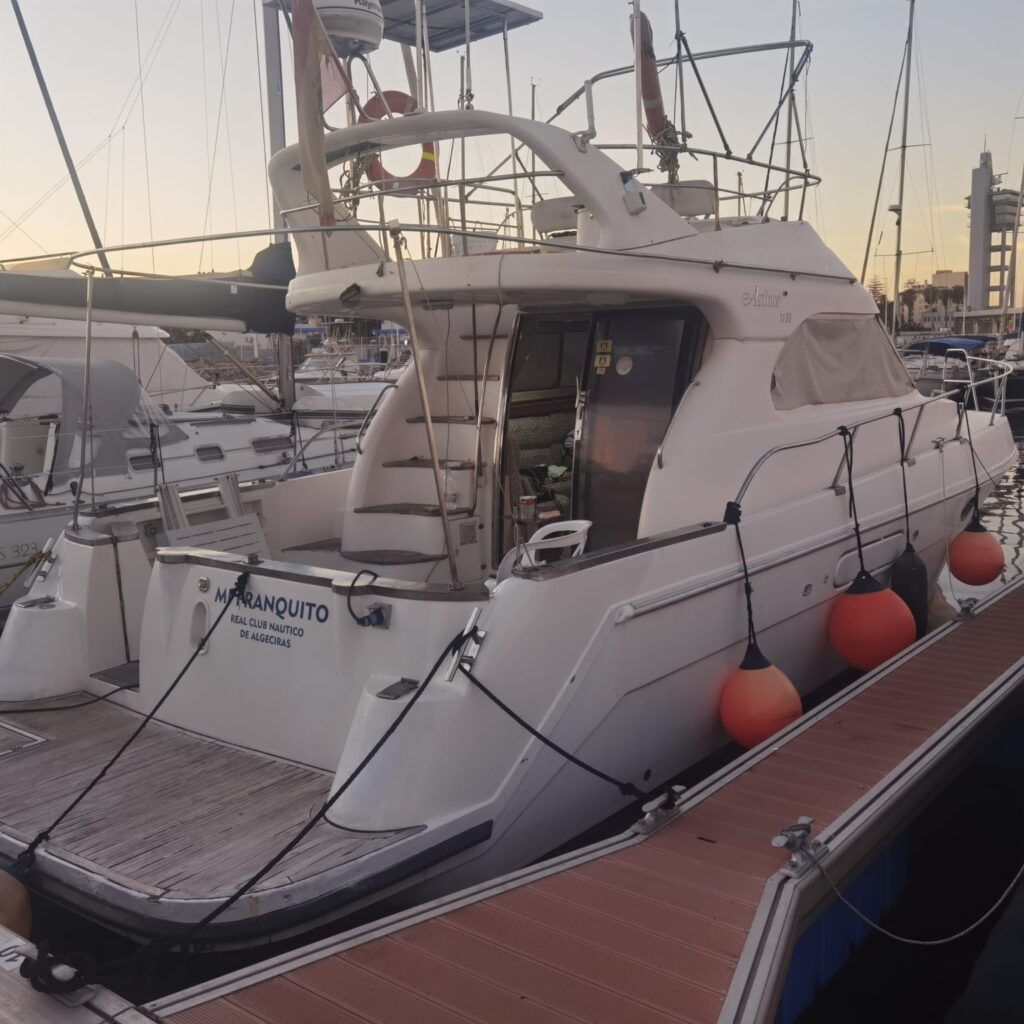 WhatsApp -Bild 2025-10-04 bei 10.23.22