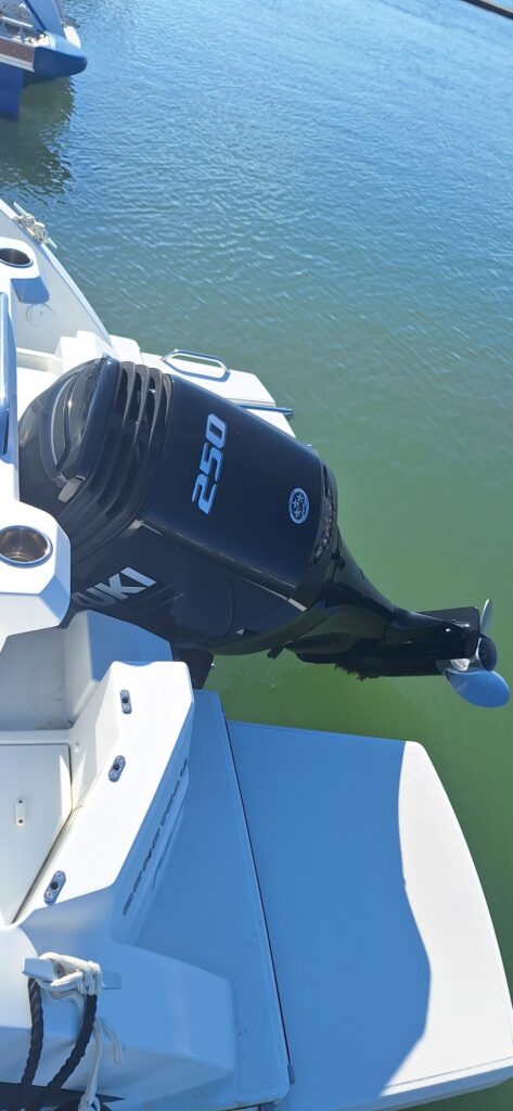 WhatsApp -afbeelding 2026-01-08 bij 18.04.21