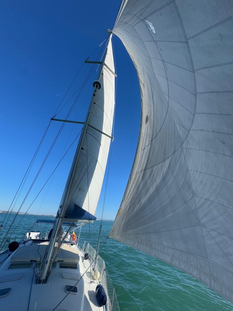 Imagem do WhatsApp 2026-01-15 no 23.09.11 (3)