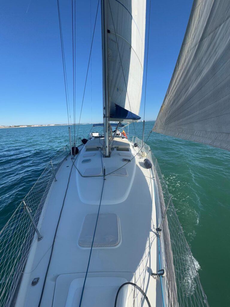 Imagem do WhatsApp 2026-01-15 no 23.09.11 (4)