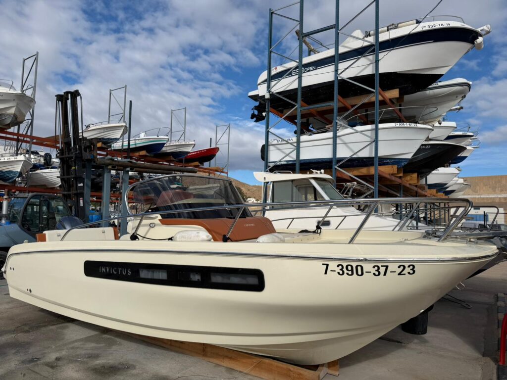 WhatsApp Image 2026-02-04 at 12.05.55