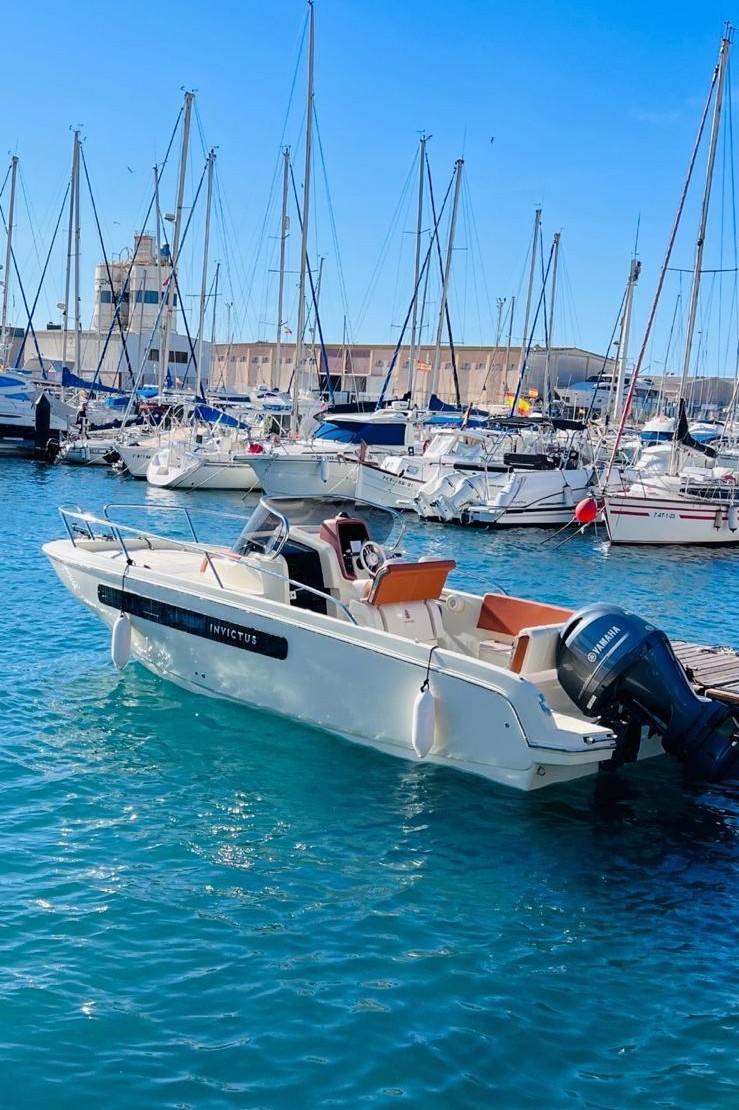 WhatsApp Image 2026-02-04 at 12.15.35 (1)