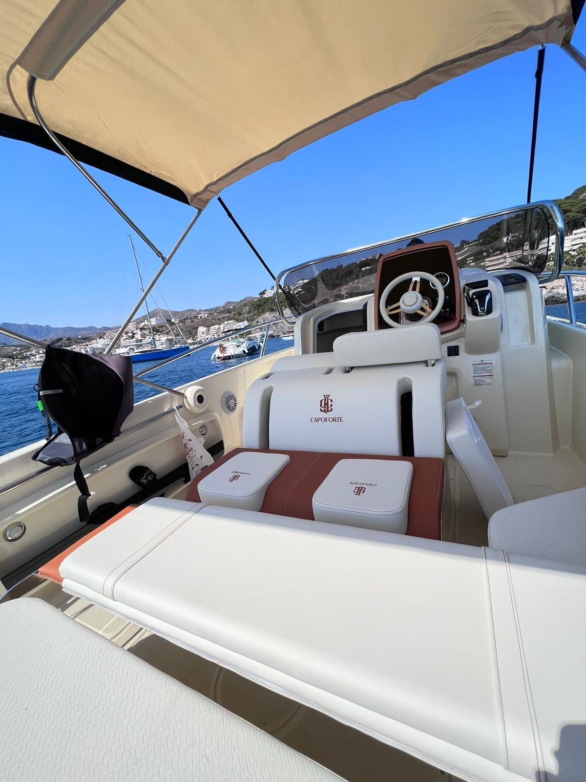 WhatsApp Image 2026-02-04 at 12.15.35