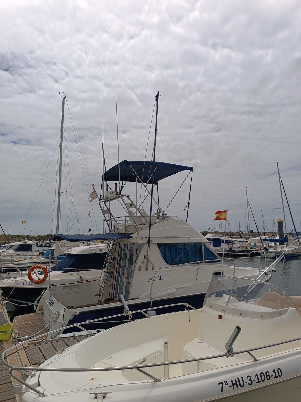 Immagine di WhatsApp 2026-02-11 A 14.17.21 (4)