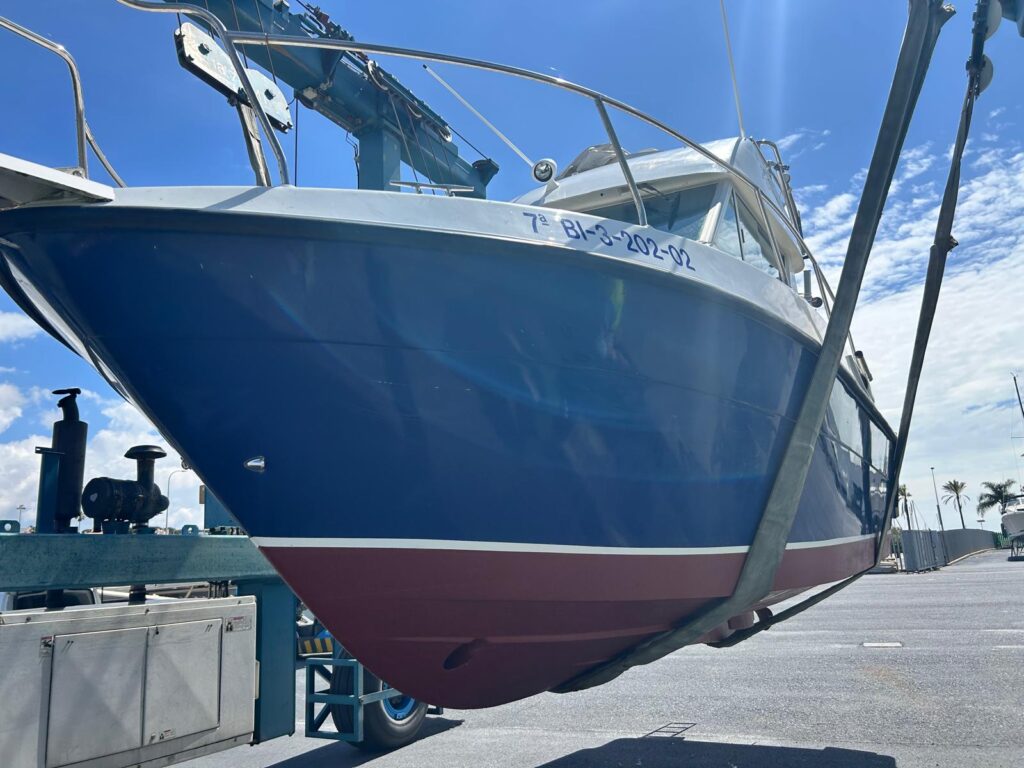 WhatsApp Image 2026-02-11 at 14.17.21 (6)