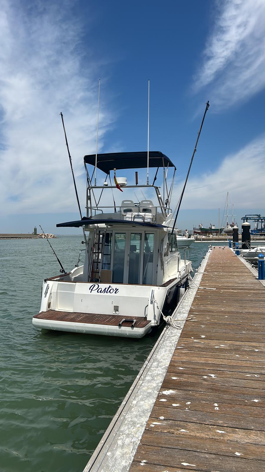 Immagine di WhatsApp 2026-02-11 A 14.17.21