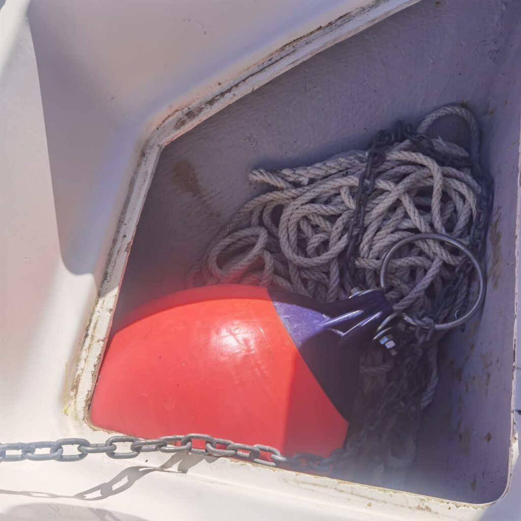 WhatsApp Image 2026-02-20 at 16.27.35 (1)