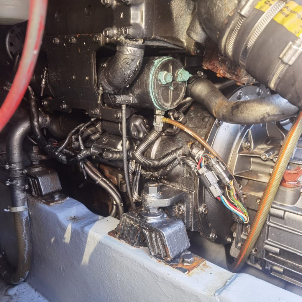 WhatsApp Image 2026-02-20 at 16.27.37 (1)