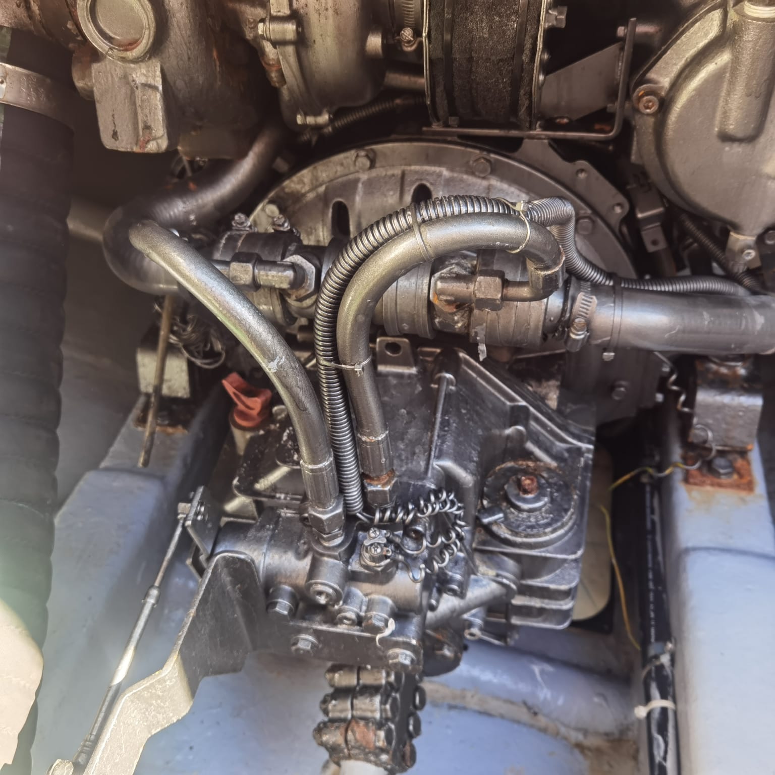 WhatsApp Image 2026-02-20 at 16.27.37