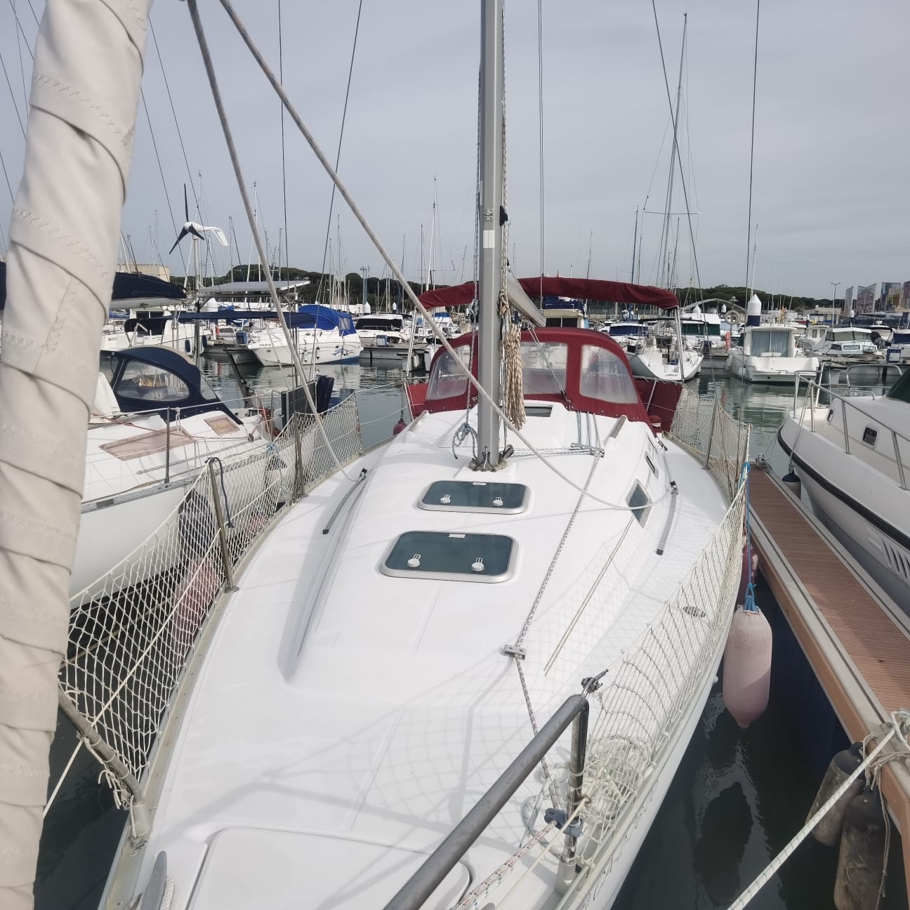 WhatsApp Image 2026-02-25 at 12.22.35