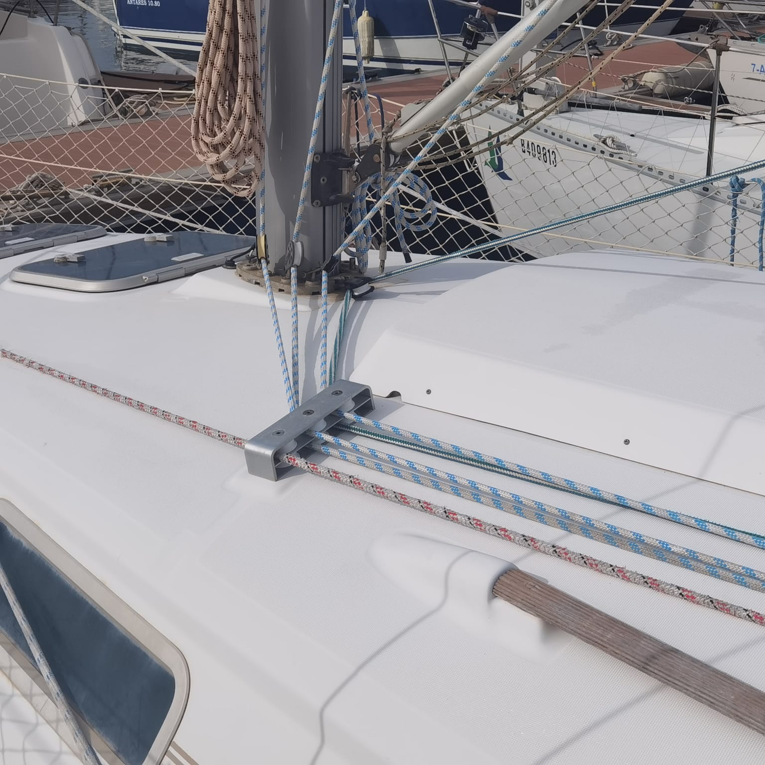 WhatsApp Image 2026-02-25 at 12.23.51