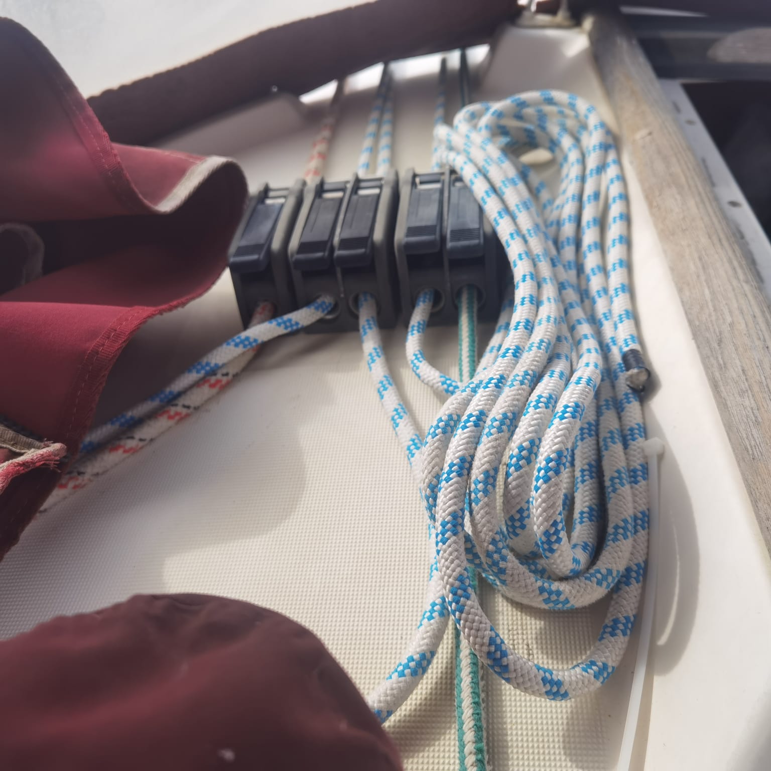 WhatsApp Image 2026-02-25 at 12.23.53 (1)