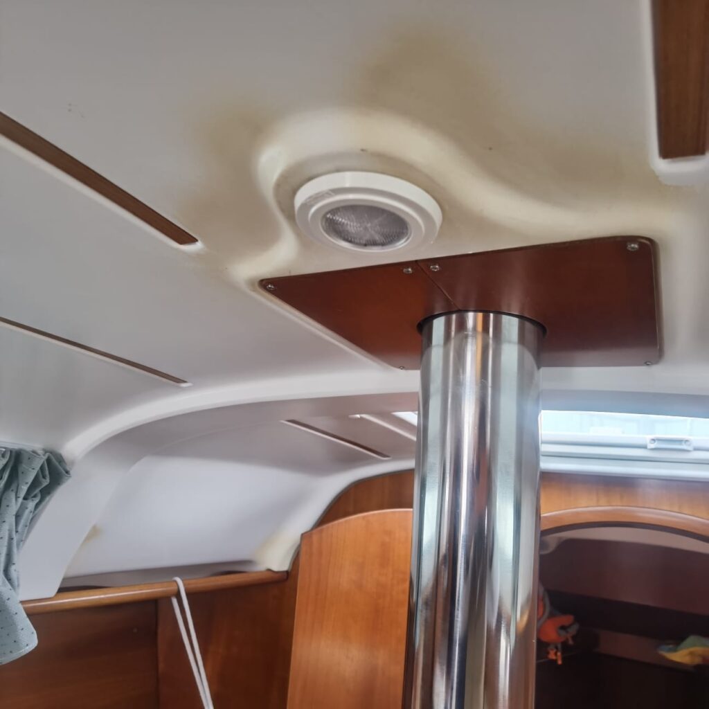 WhatsApp Image 2026-02-25 at 12.23.56