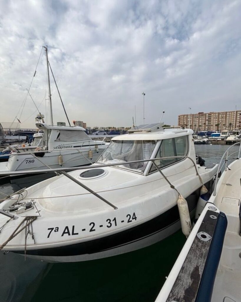 WhatsApp Image 2026-03-09 at 15.28.37 (3)